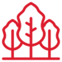 arbol-de-la-planta-1